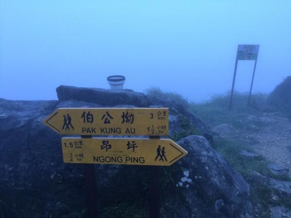扶摇皇后古风装扮